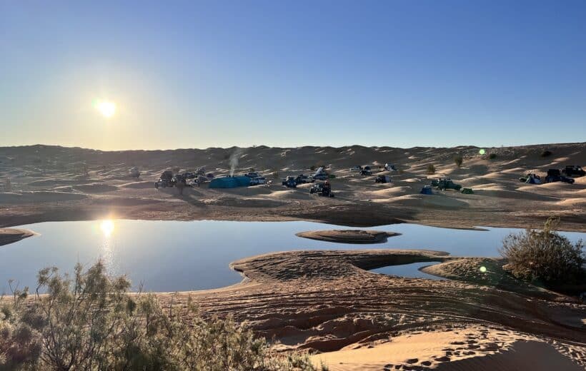 Tunisia Wild Sahara 24 Aprile - 3 Maggio 2024