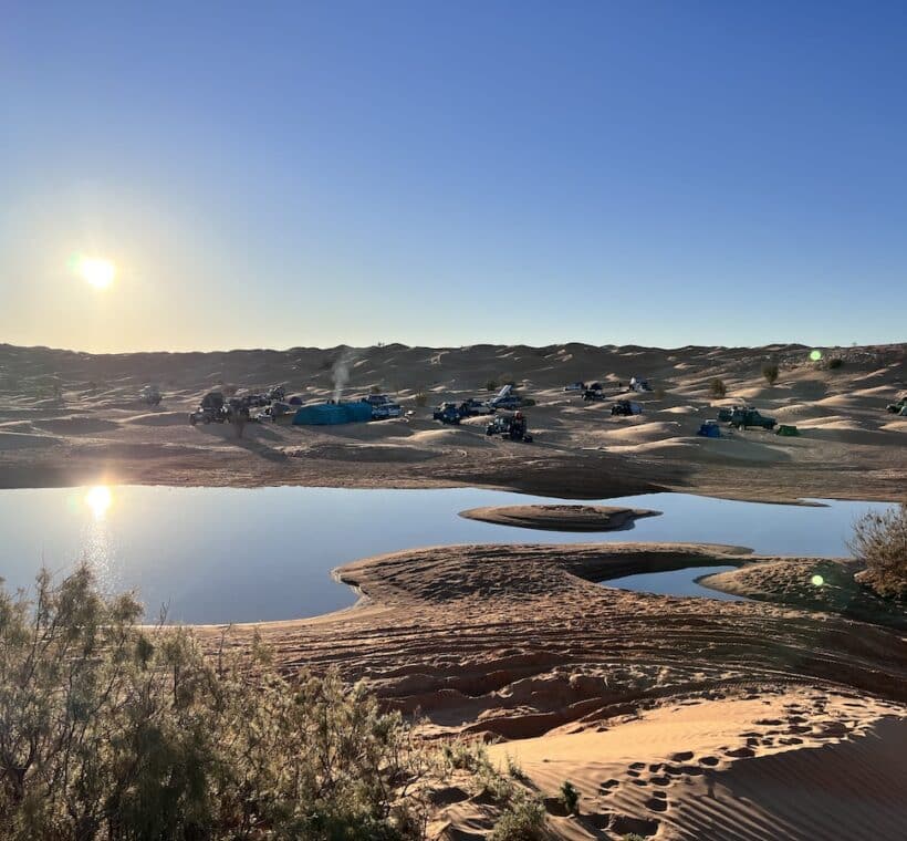 Oasi nel deserto tunisino con campo tendato durante il viaggio Wild Sahara