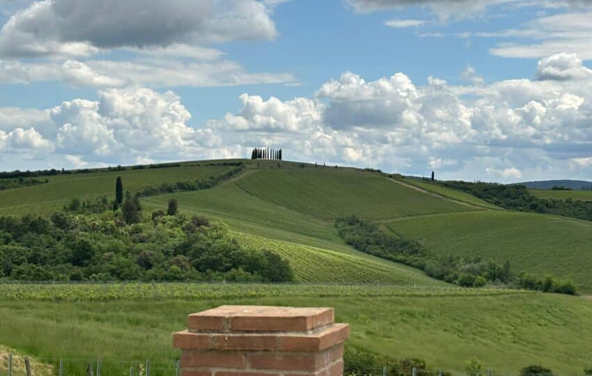 eroica, colline toscane e vigne