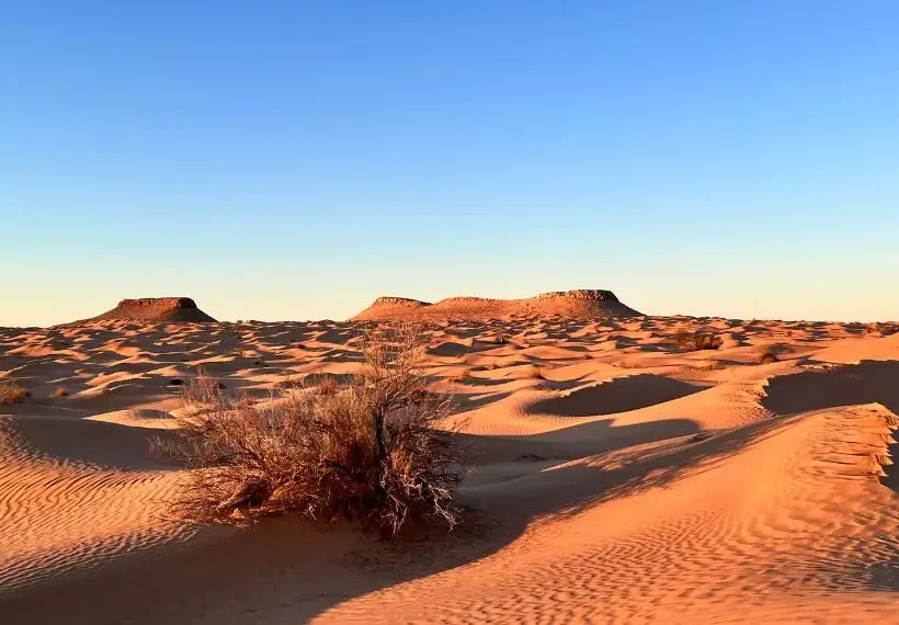 Tunisia Family Tour Oasi e deserto con AF TRAVEL FIRENZE