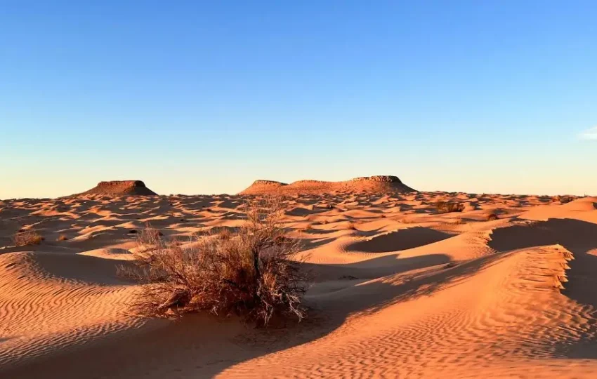 Tunisia Family Tour Oasi e deserto con AF TRAVEL FIRENZE