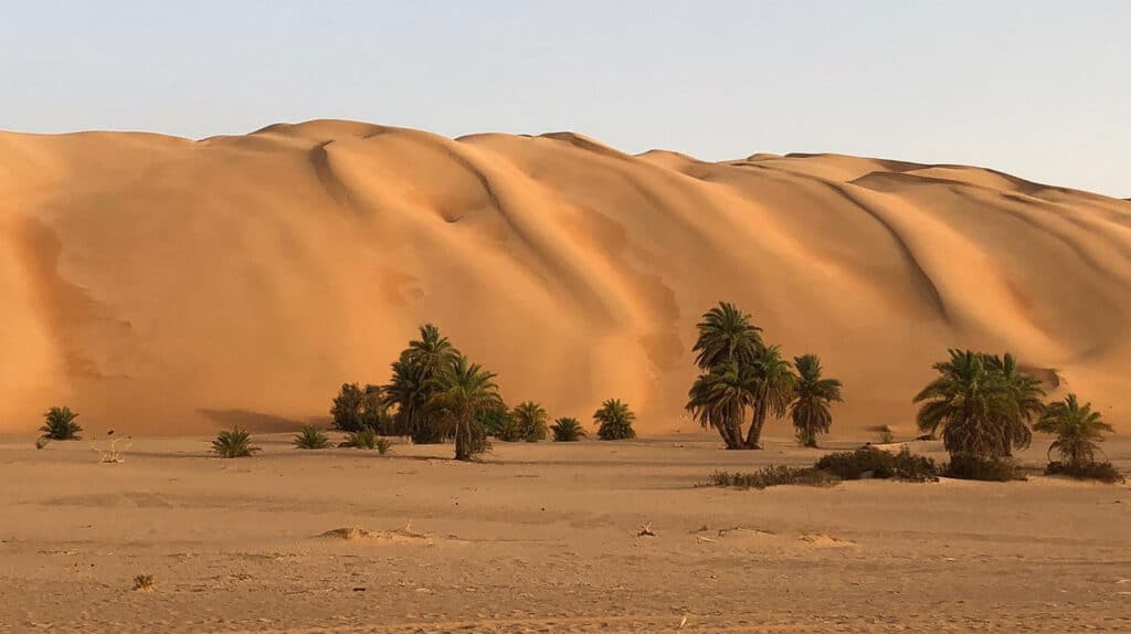 dakar 4x4 marocco, mauritania, senegal, sahara aftravel firenze