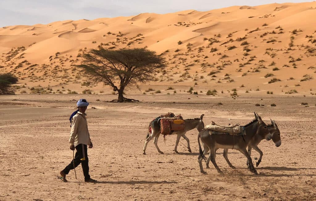 dakar 4x4 marocco, mauritania, senegal, sahara aftravel firenze