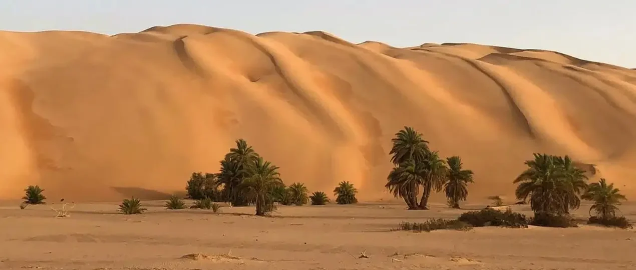 Immagine del deserto in Senegal sede di svolgimento della storica Parigi - Dakar