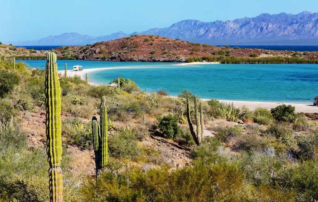 Cactus e spiaggia selvaggia nella Baja California, Messico, lungo una pista 4x4 costiera