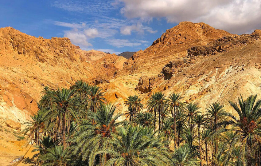 Tunisia off-road, oltre le dune, viaggio 4x4