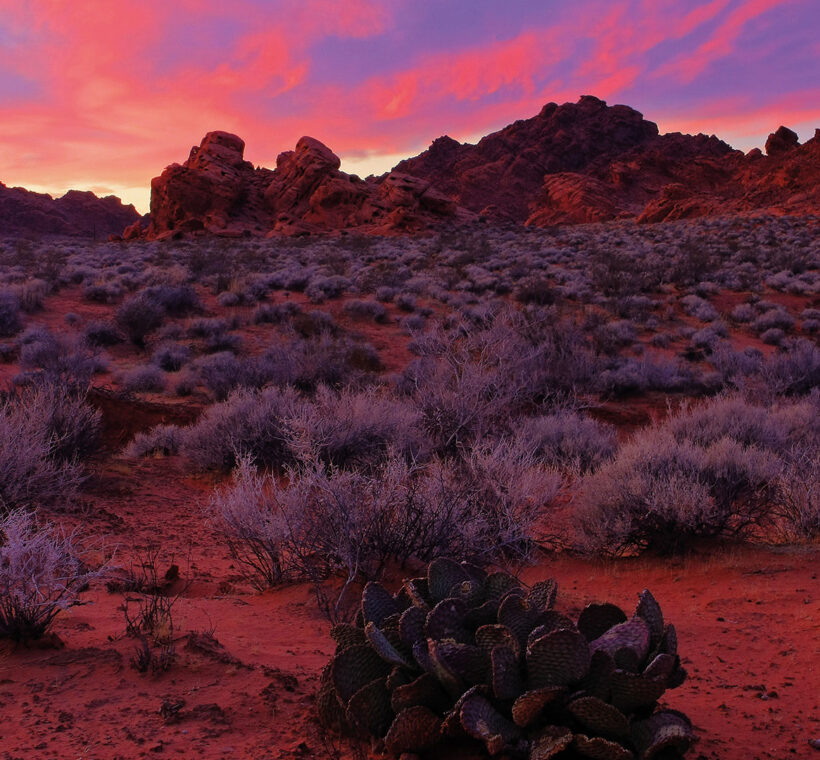 Tramonto nel deserto della Riserva della Biosfera del Vizcaíno in Baja California durante il viaggio AF Travel Firenze