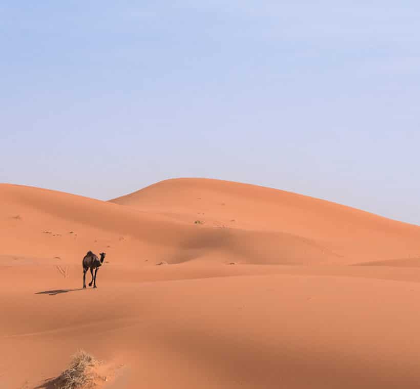 Dune dell’Erg Chebbi nel Sahara marocchino
